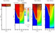 Flow and Temperature Fields in a VAR Ingot of Ti-64 With Magnetic Stirring  &raquo; Click to zoom ->
